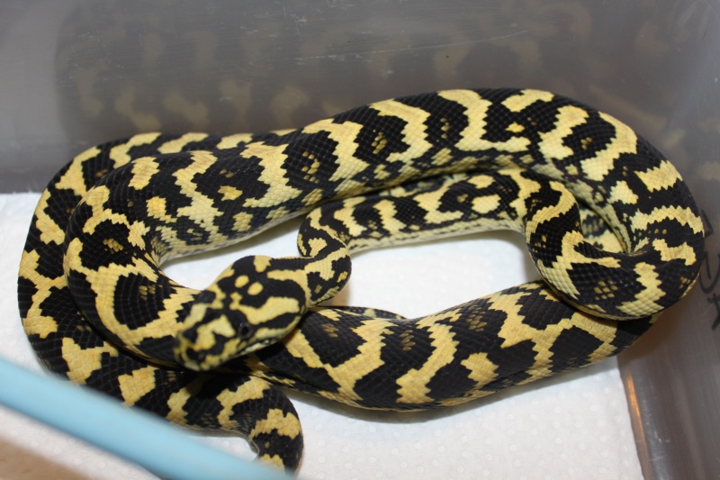 attachment.php