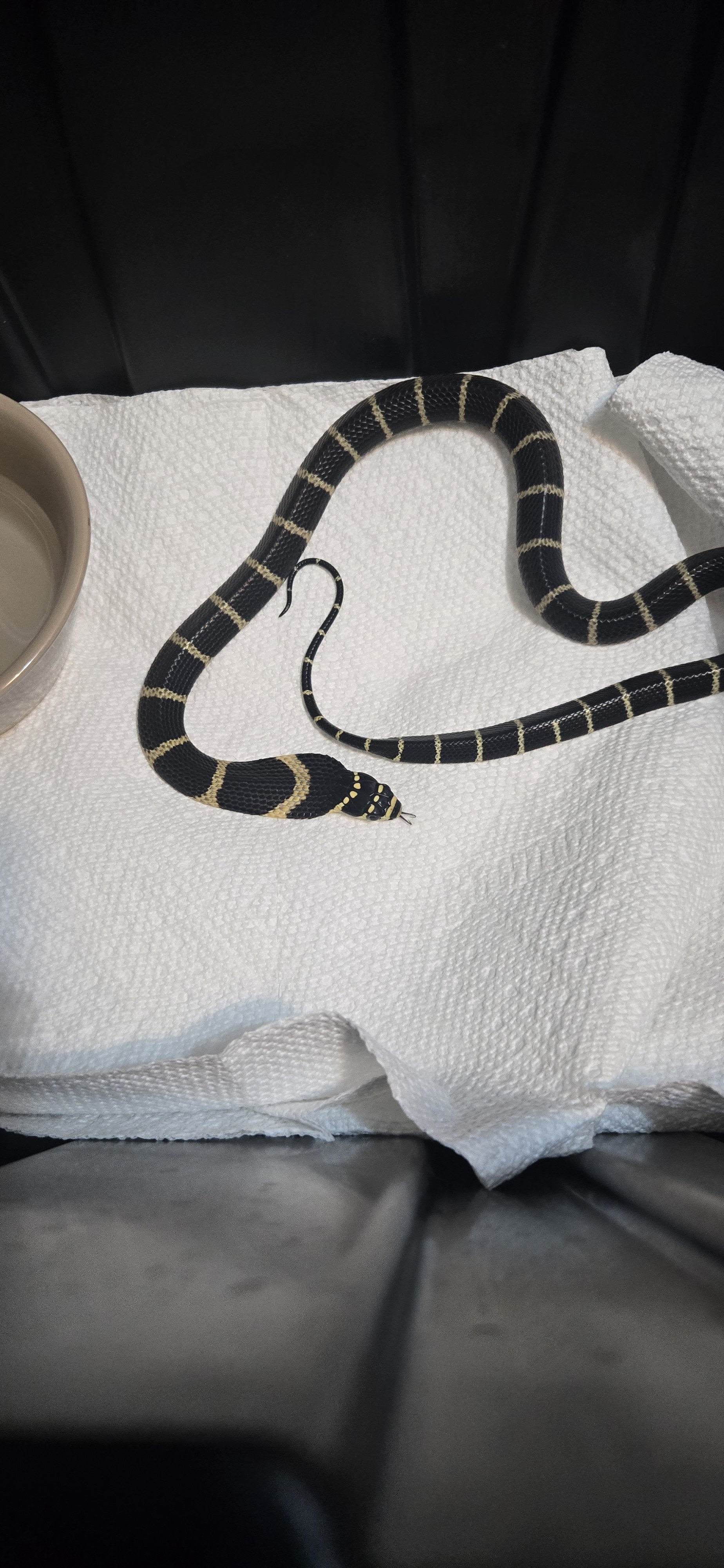1000010287.jpg