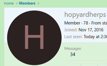 1732488039950.png