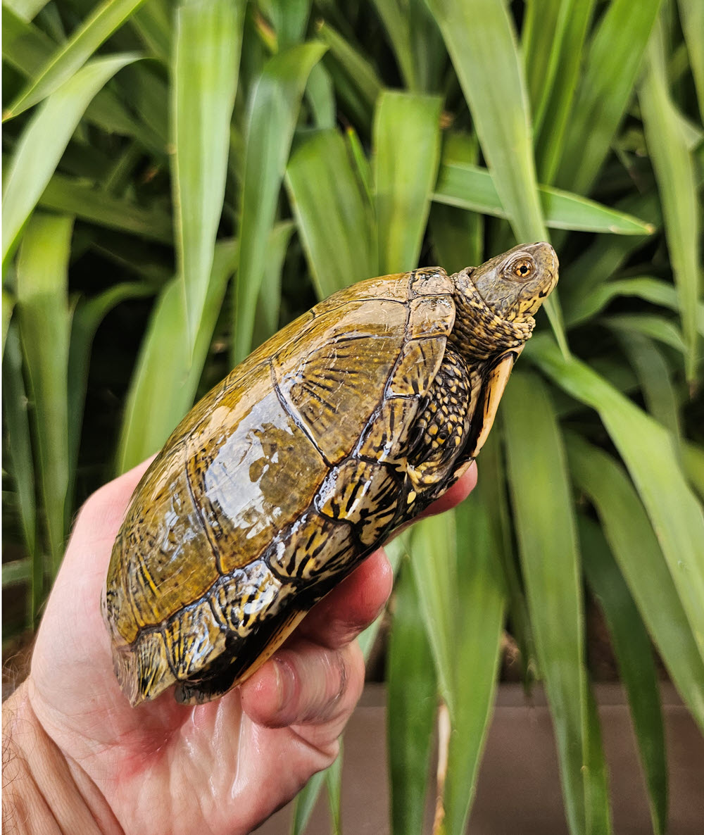 20260703_165947.jpg