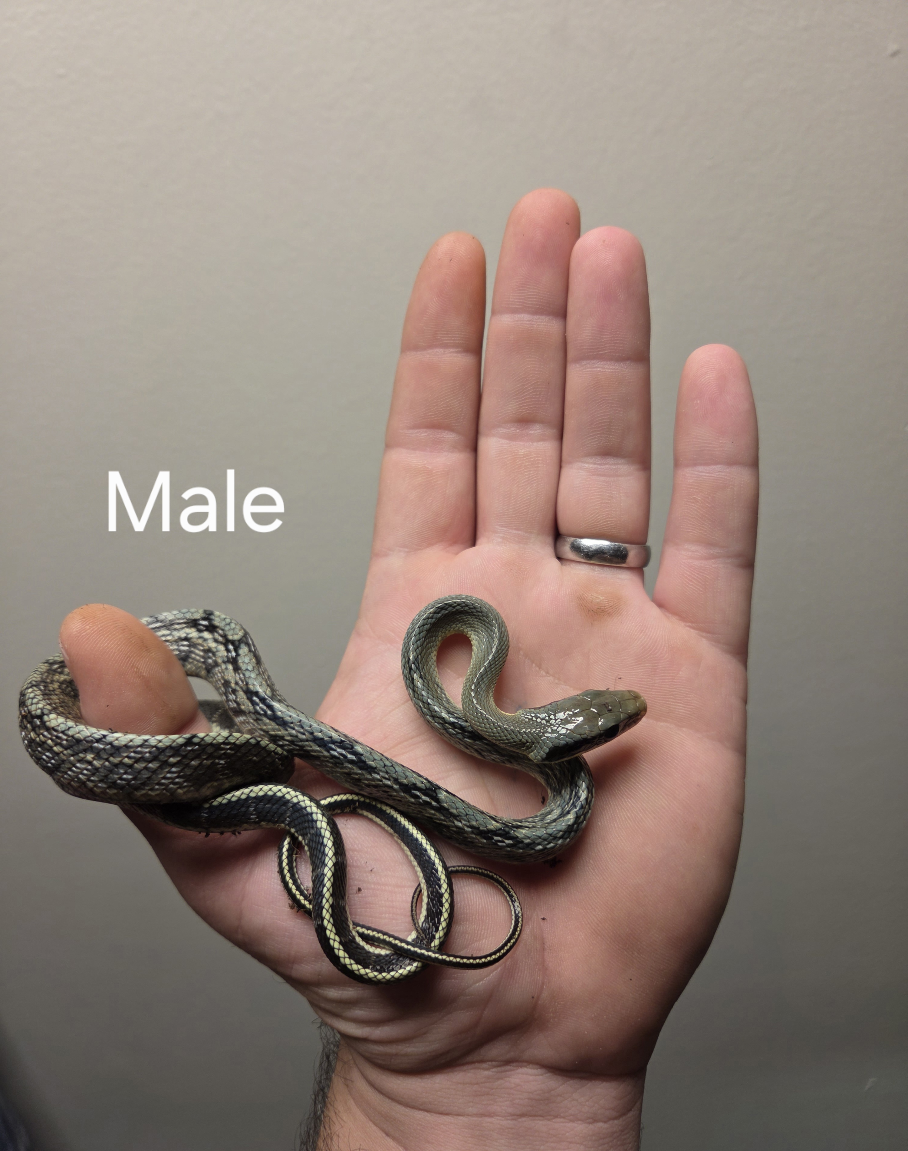 3274.jpg