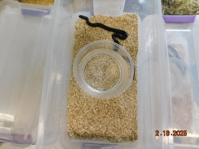 DSCN1729.JPG