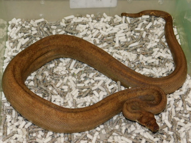 DSCN4680.JPG