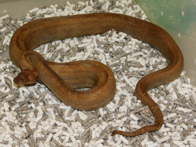 DSCN4685.JPG