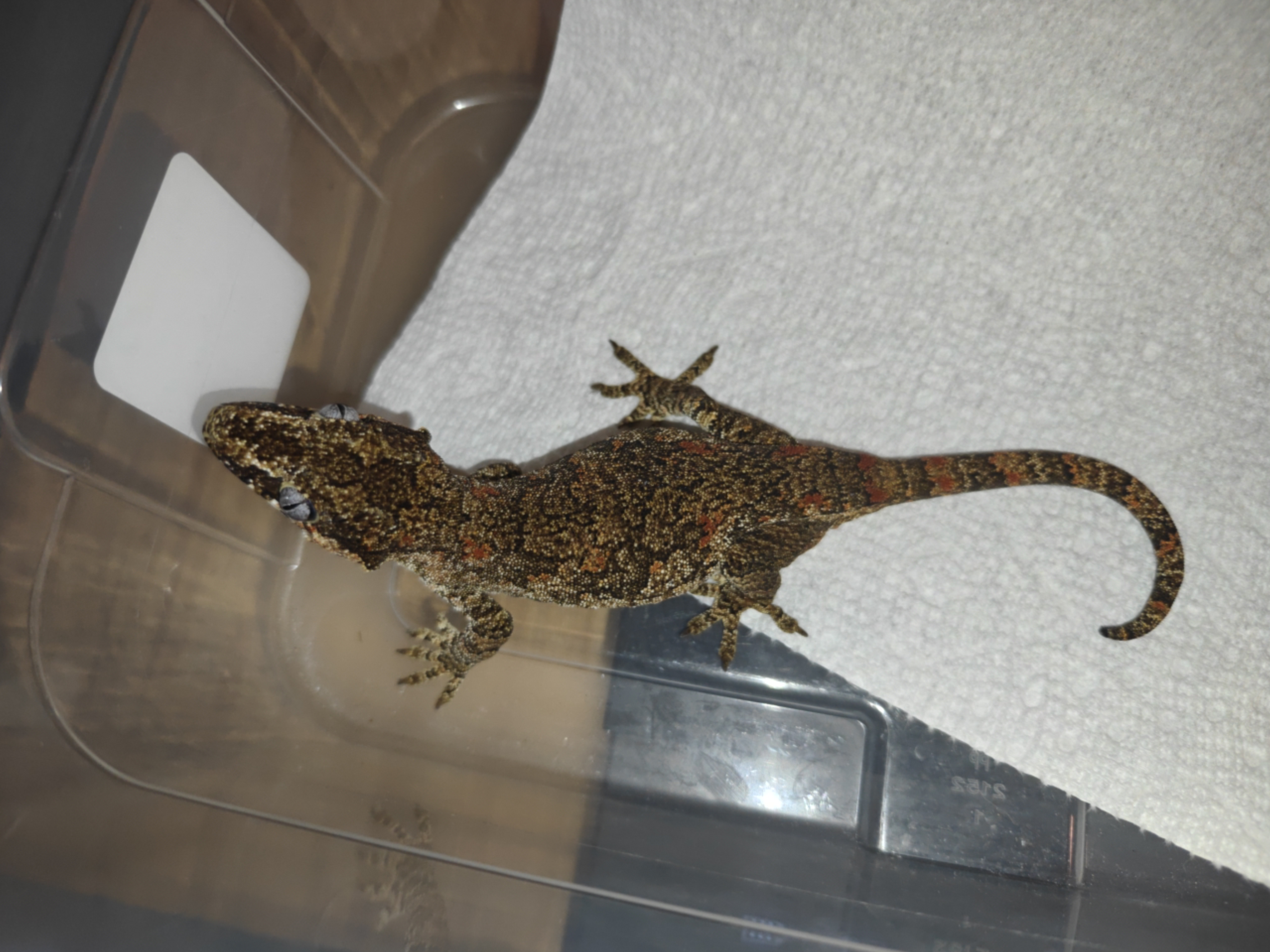 IMG20260120132959.jpg