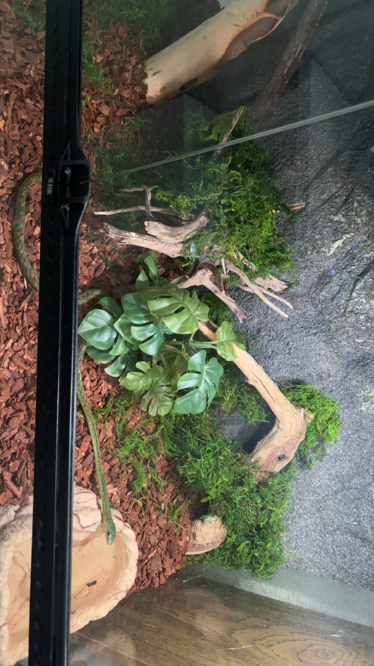 IMG_1436.jpeg