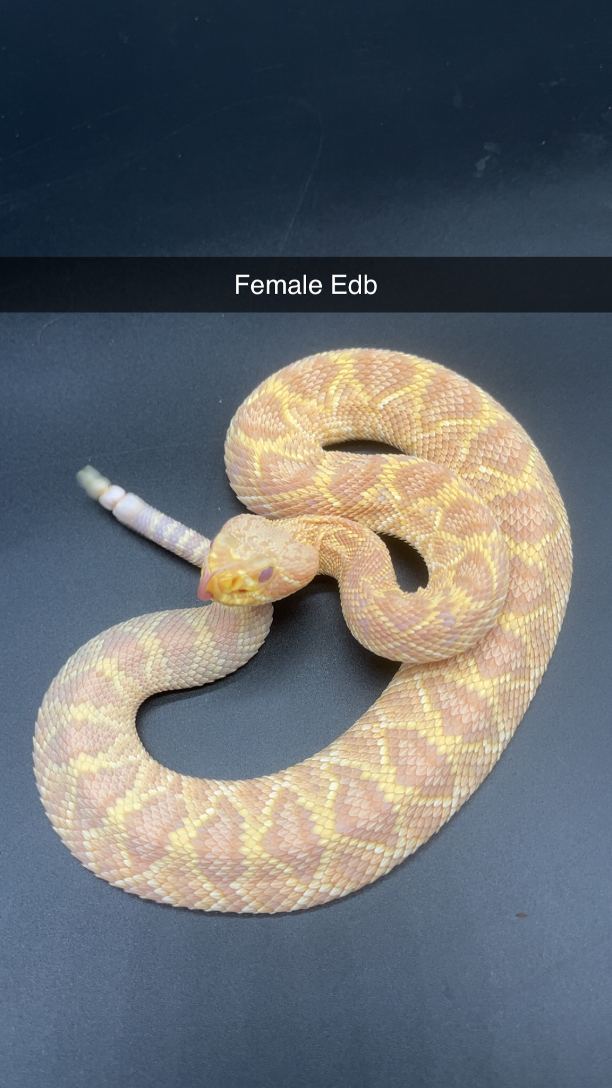 IMG_3167.jpeg