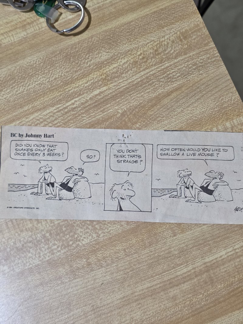 snake joke 01.jpg