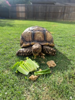 thumbnail_IMG_6372.jpg