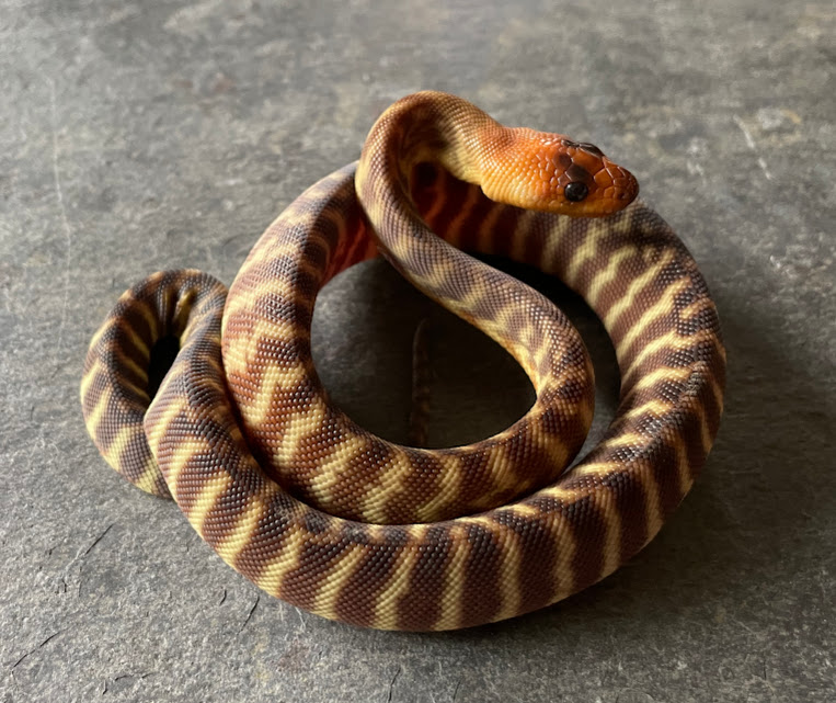 WOMA14F02 092324.JPG