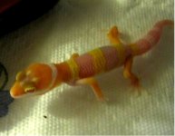 IMG_0287.JPG