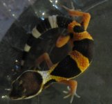 IMG_0297.JPG