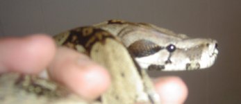 Picture 125.jpg