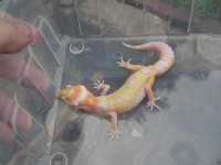 dsc00878.jpg