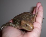 100_0511_cropped_small.jpg