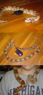 3pics.jpg