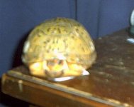 dec09_03.jpg