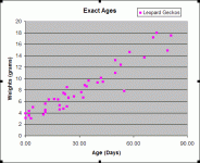 LeoExact.gif
