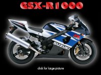 gsxr1000main.jpg