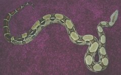 jane6-03full.jpg