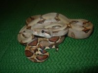 new camera pics 128.jpg