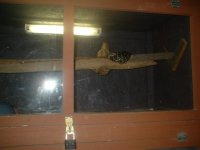 dscf0021.jpg
