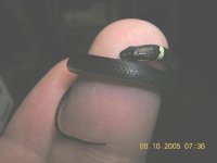 DSCN0918.JPG