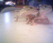 picture 007.jpg