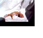 untitled1.jpg