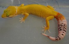 IMG_0344.JPG