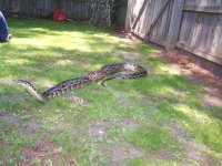 outside_with_daisy3_149.jpg