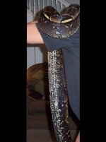 DarkSnake 5-24-05 006a.JPG