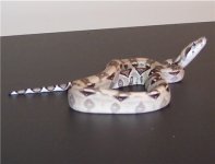 ivorymale1.jpg