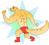 geckohigh.jpg