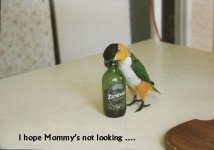 Charlie Beer.JPG