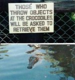 crocidiles.jpg