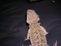 DSCN0106.JPG