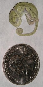 b.jpg