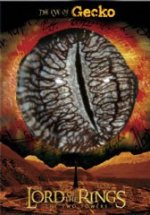 eye of gecko.jpg
