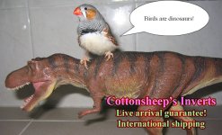 birds are dinosaurs.jpg
