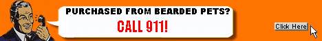 bearded pets 911.gif