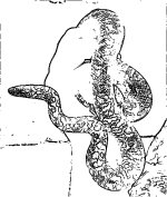 BW01.jpg