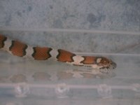 img_0037.jpg