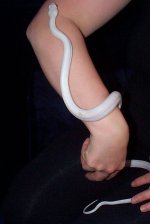 picture 004.jpg