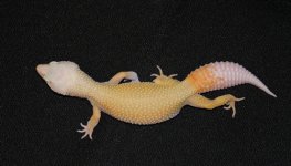 IMG_1142.jpg
