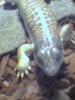 DSC00056.JPG