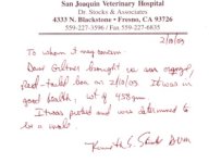 vet.jpg