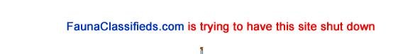 shutdown.jpg