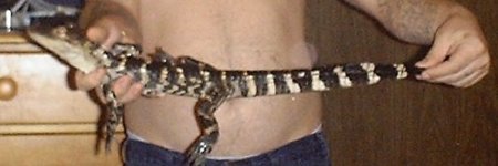 lucygator.jpg