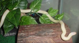 casper august-05-small.jpg
